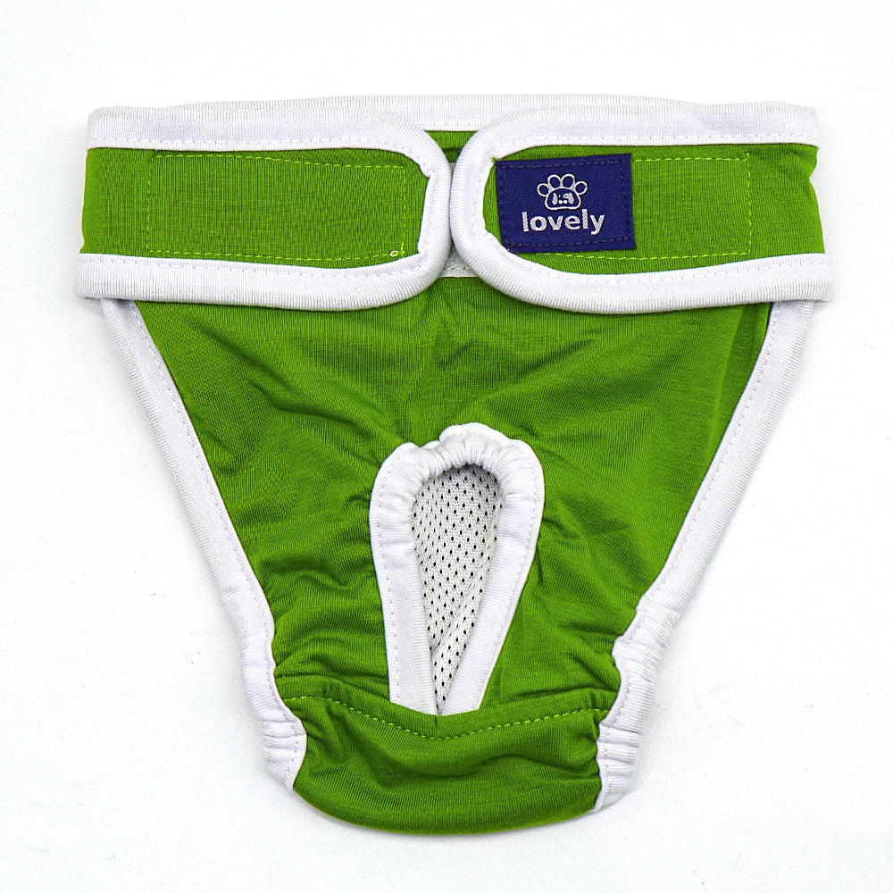 Sanitary Underwear for Cats