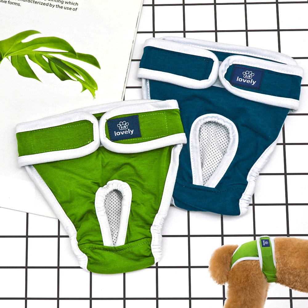 Sanitary Underwear for Cats