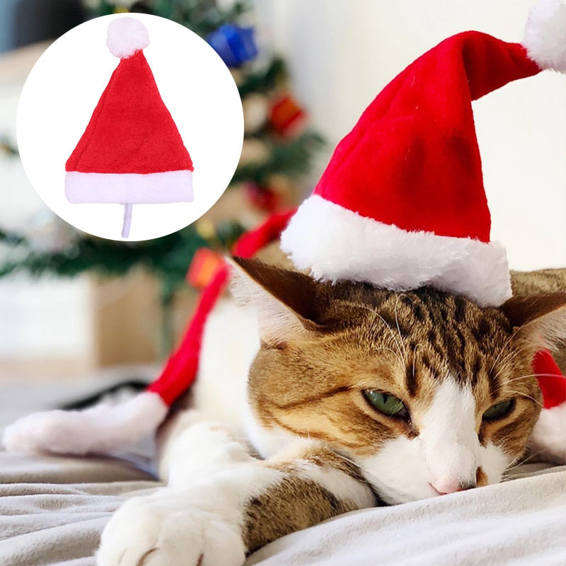Santa Hats for Cats