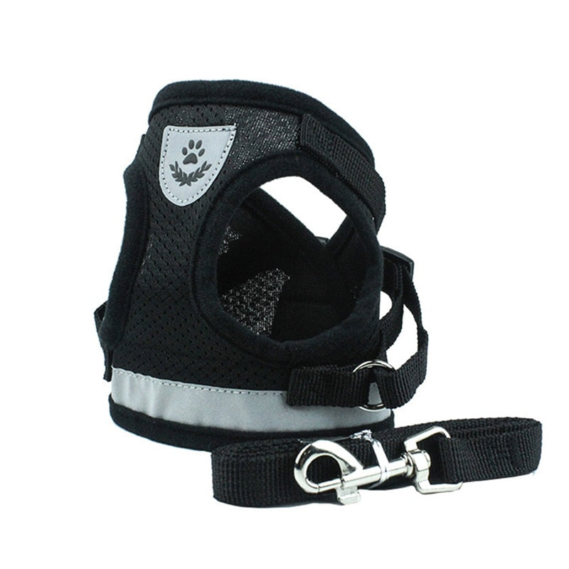 Secure Cat Harness