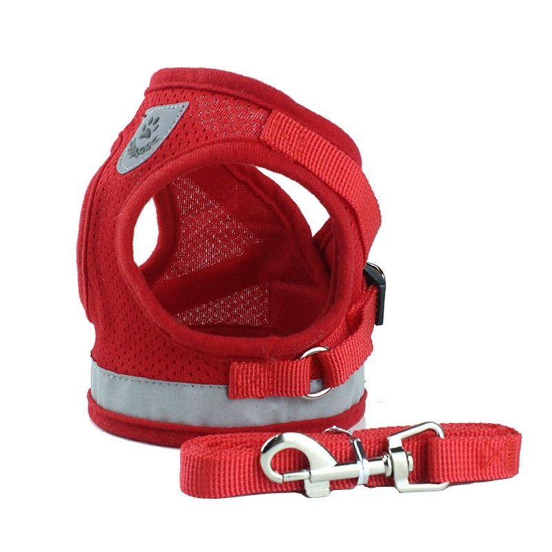 Secure Cat Harness