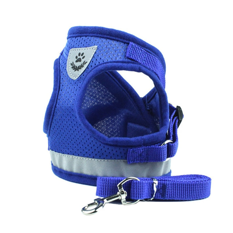 Secure Cat Harness