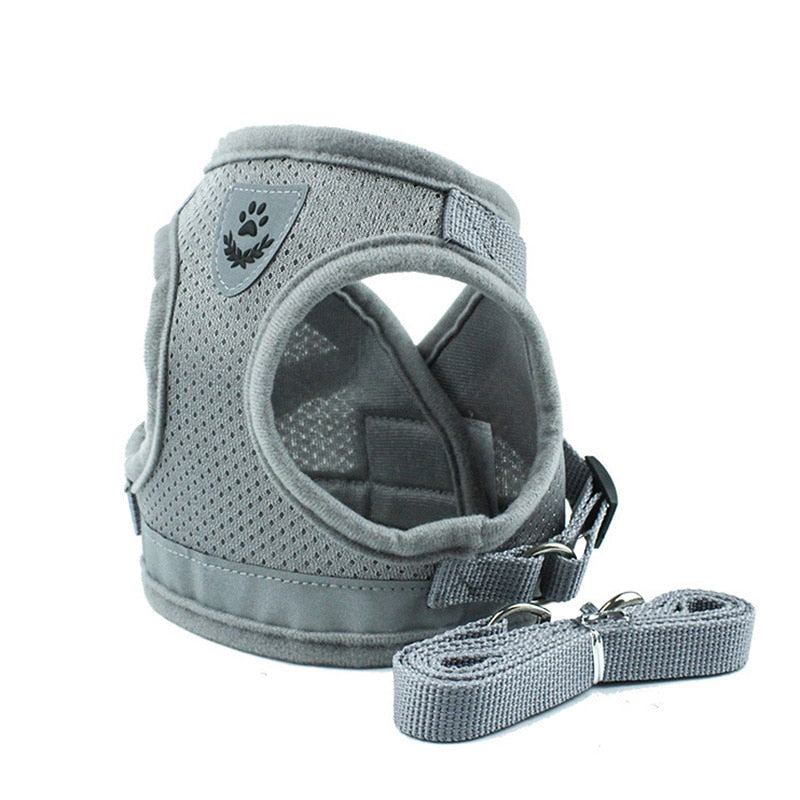 Secure Cat Harness