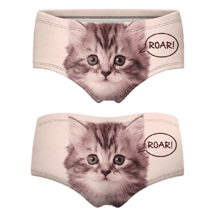 Sexy panties with cat