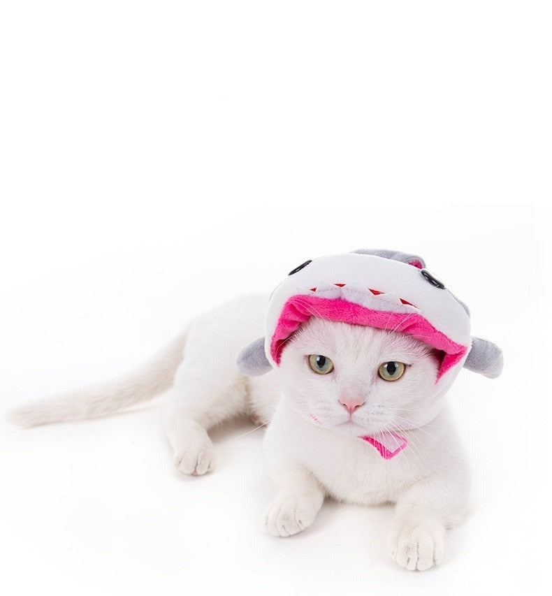 Shark Hat for Cats