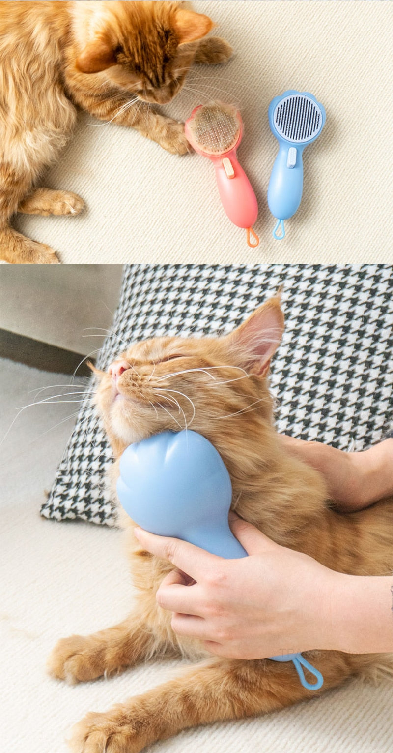 Shed Brush Cat
