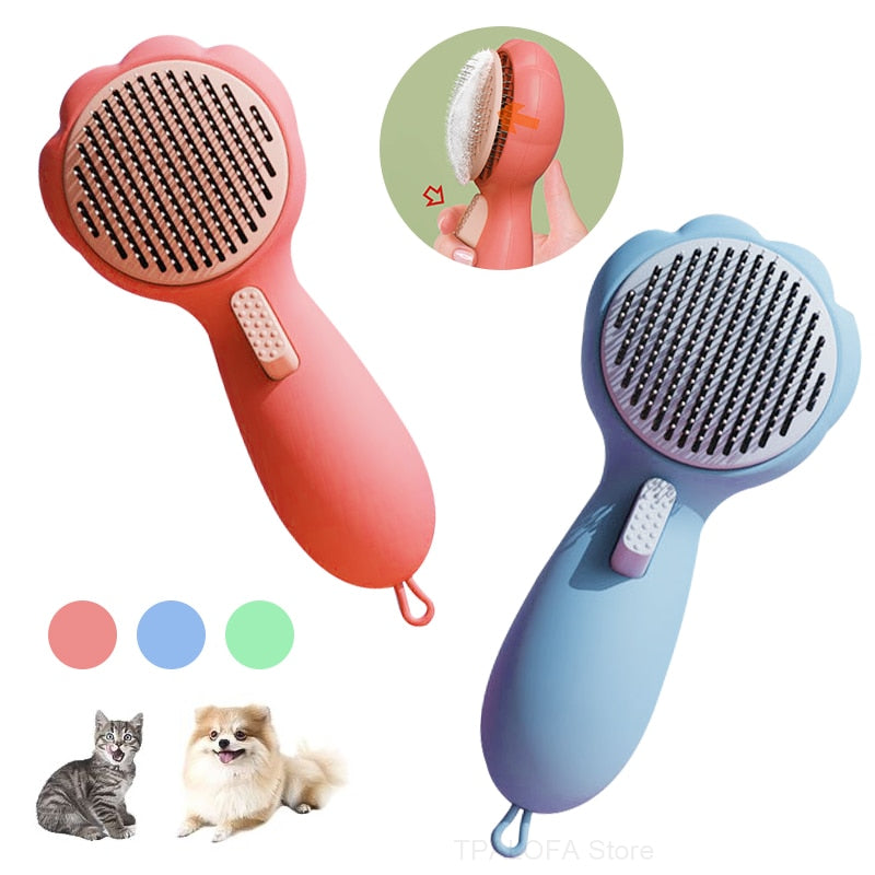 Shed Brush Cat