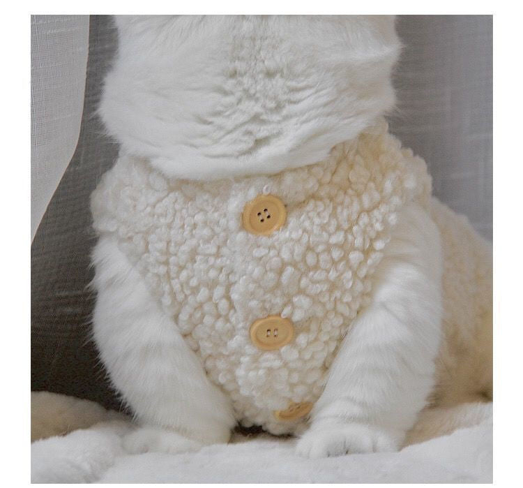 Sherpa Jacket Clothes for Cats