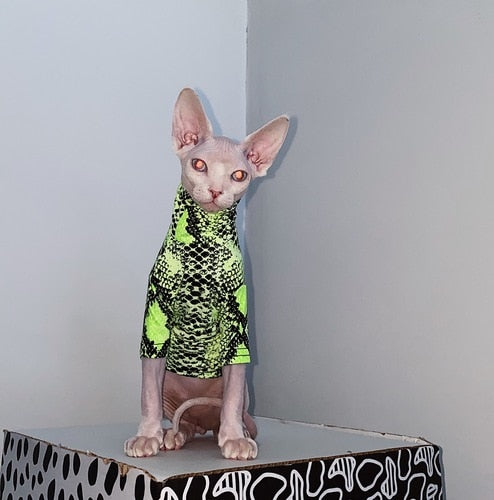 Shirts for Sphynx Cats
