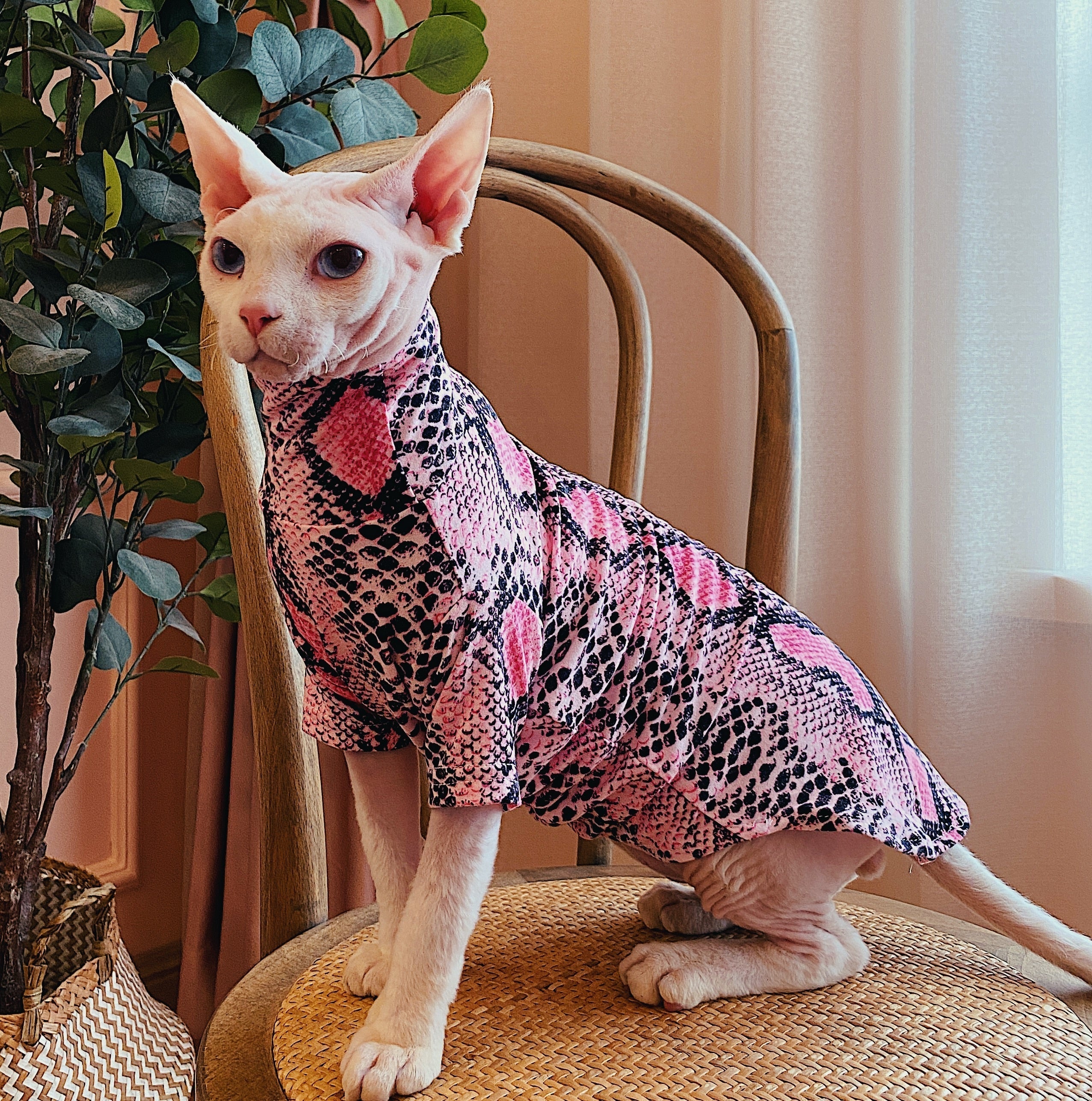 Shirts for Sphynx Cats