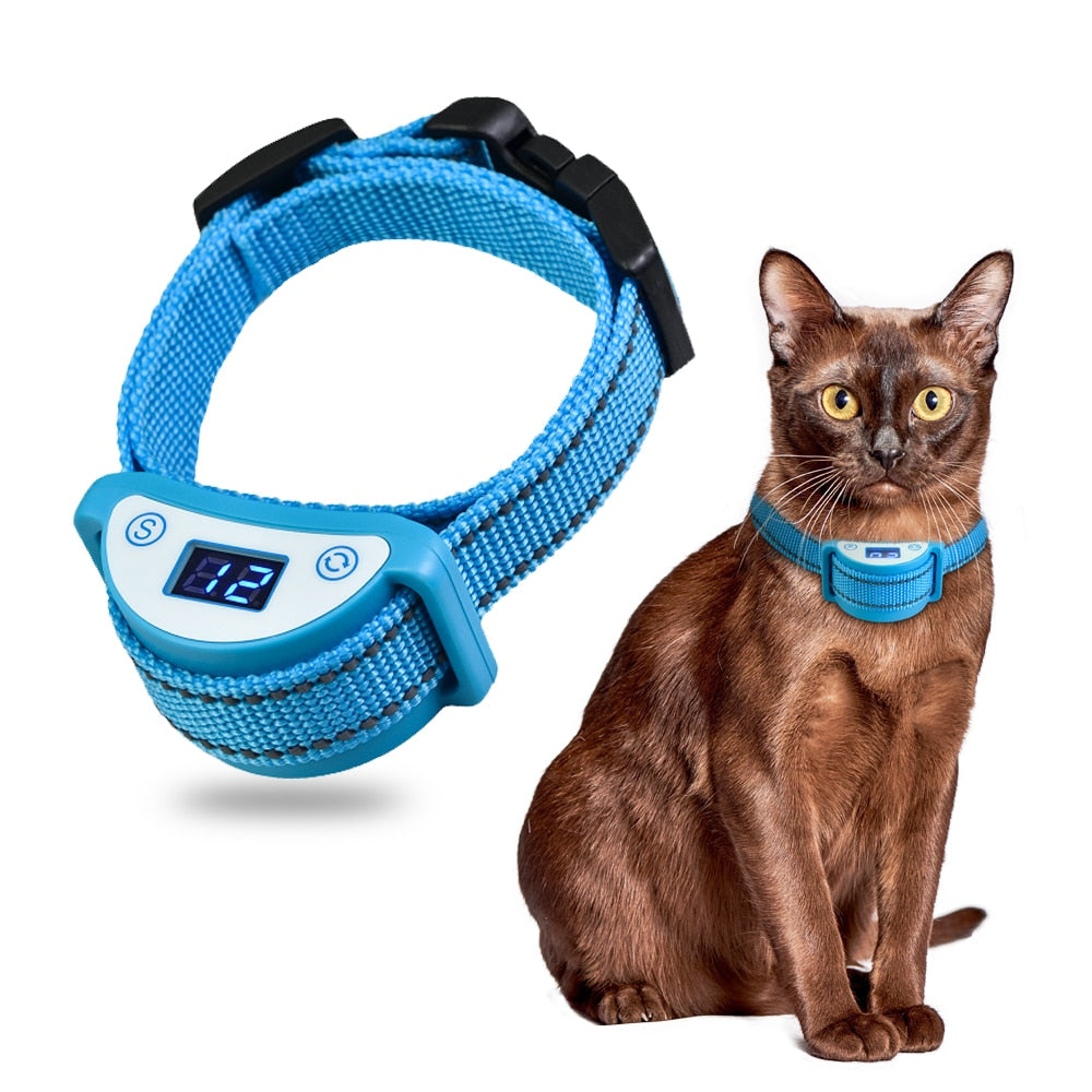 Shock Collars for Cats