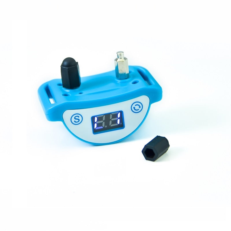 Shock Collars for Cats