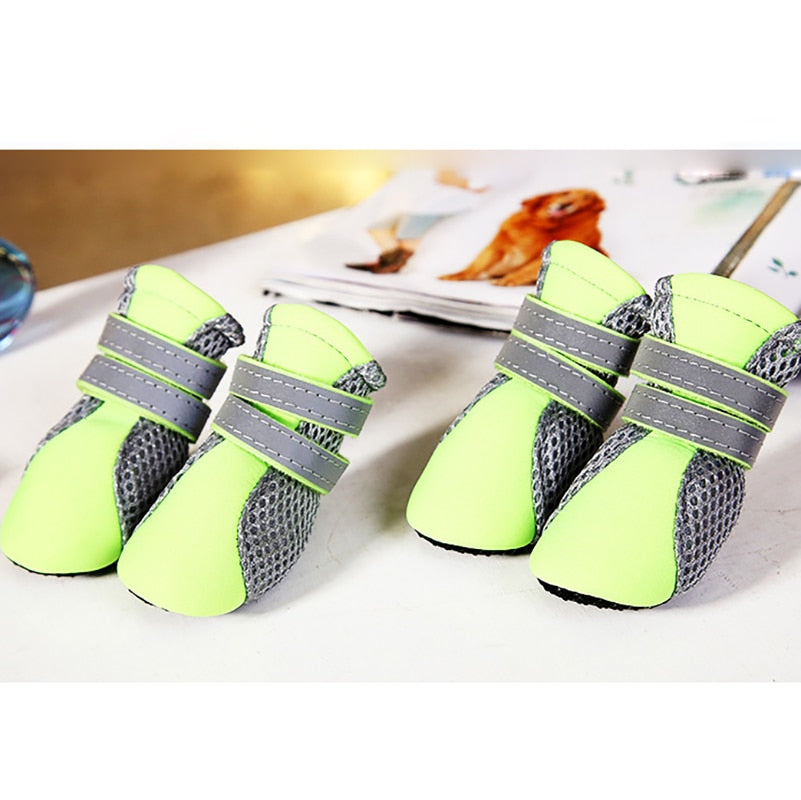 Shoes for Cats for Walking