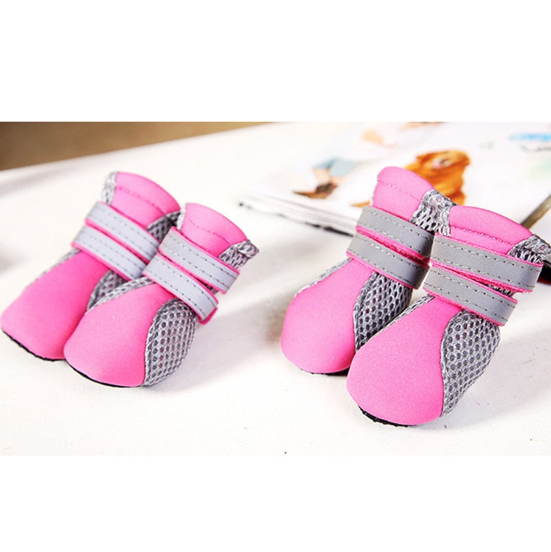 Shoes for Cats for Walking