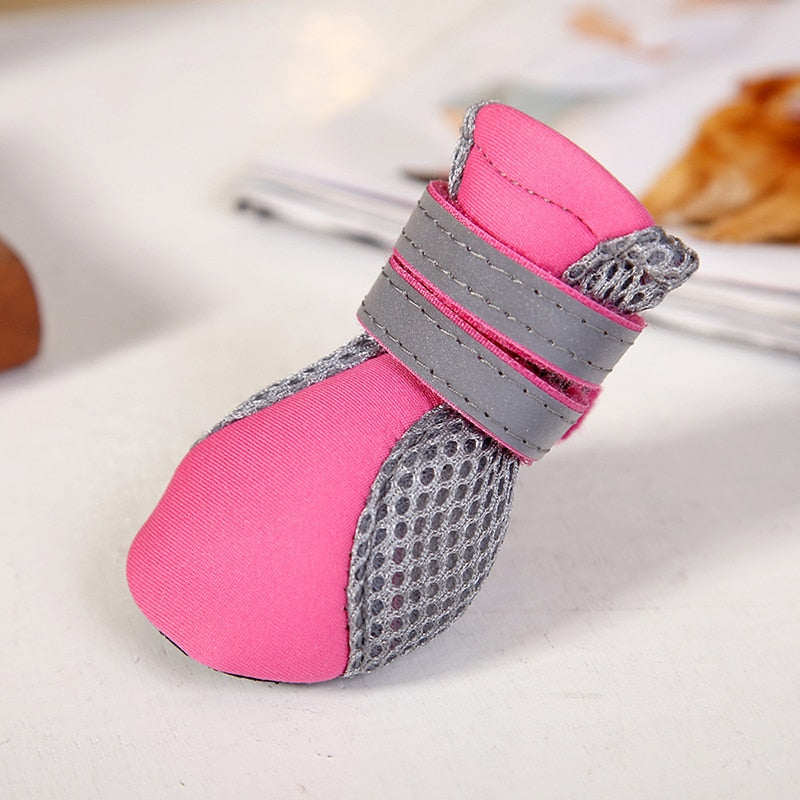 Shoes for Cats for Walking
