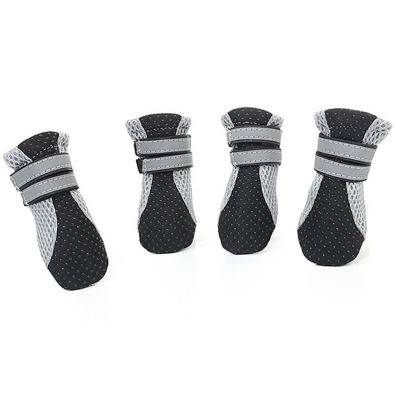 Shoes for Cats for Walking