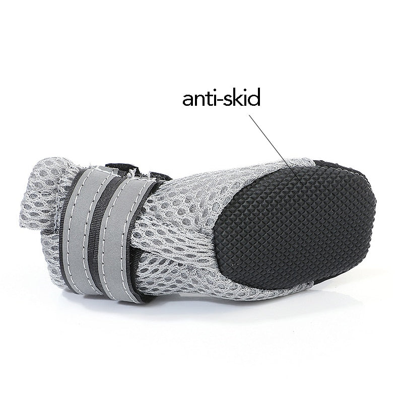 Shoes for Cats for Walking