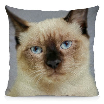 Siamese Cat Pillow