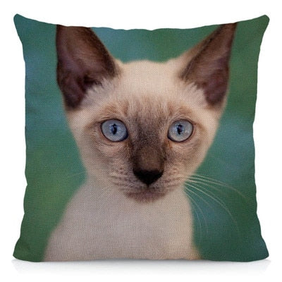 Siamese Cat Pillow