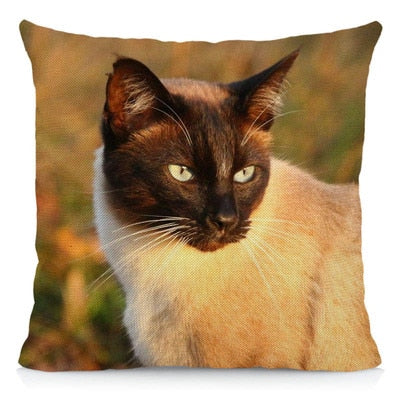 Siamese Cat Pillow