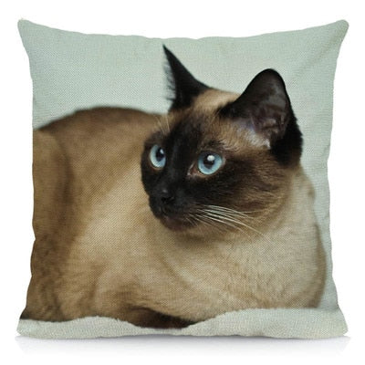 Siamese Cat Pillow