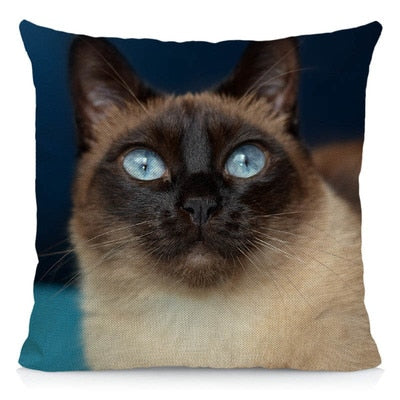 Siamese Cat Pillow