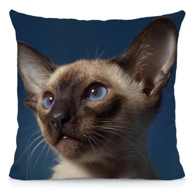 Siamese Cat Pillow
