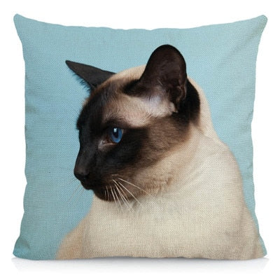 Siamese Cat Pillow