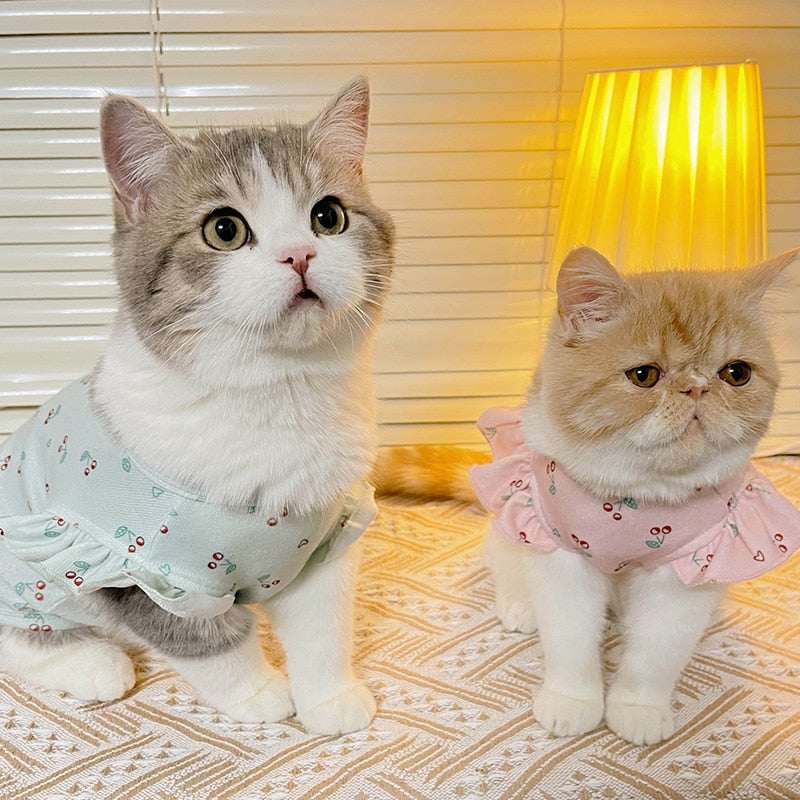 Simple Cat Dress