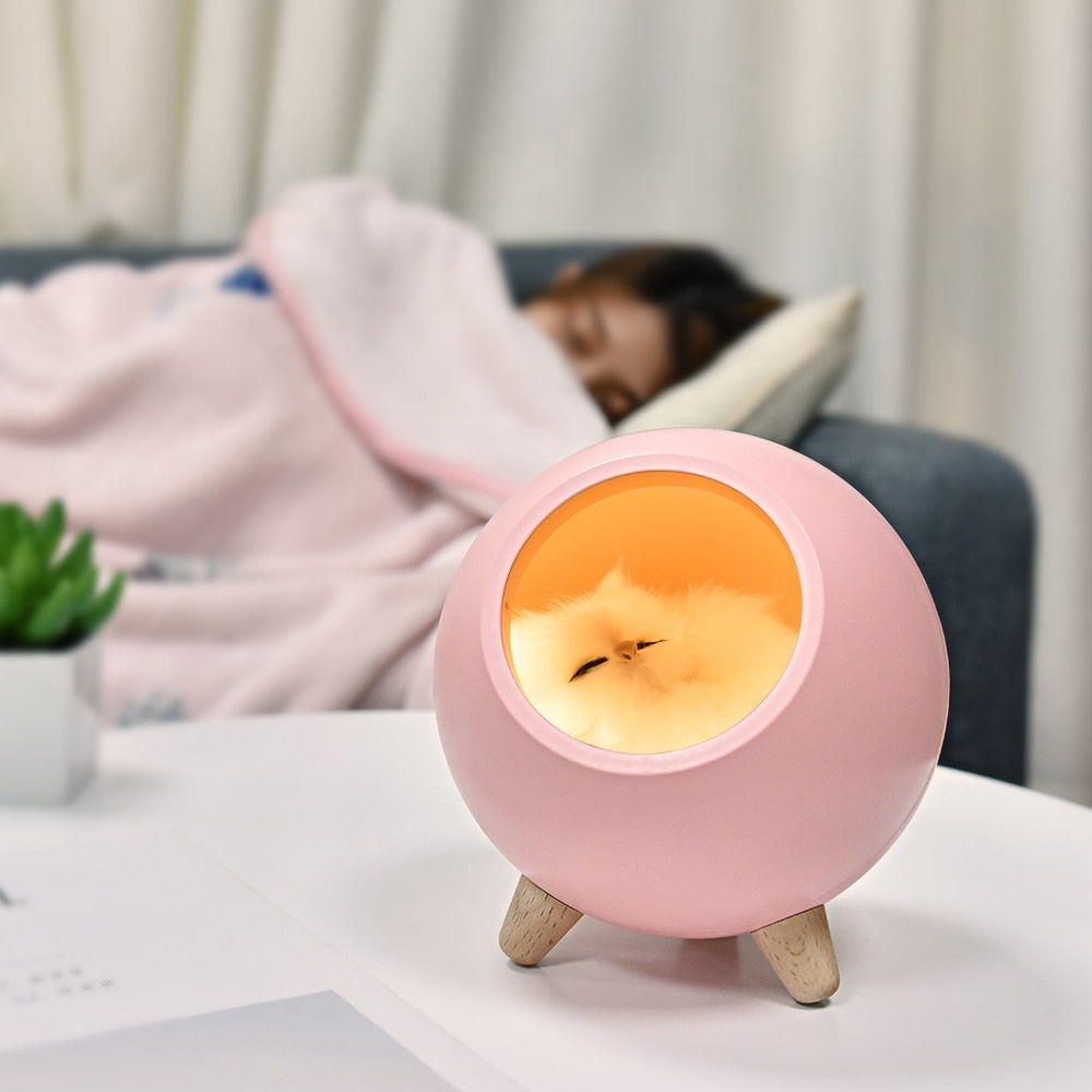 Sleeping Cat Night Light