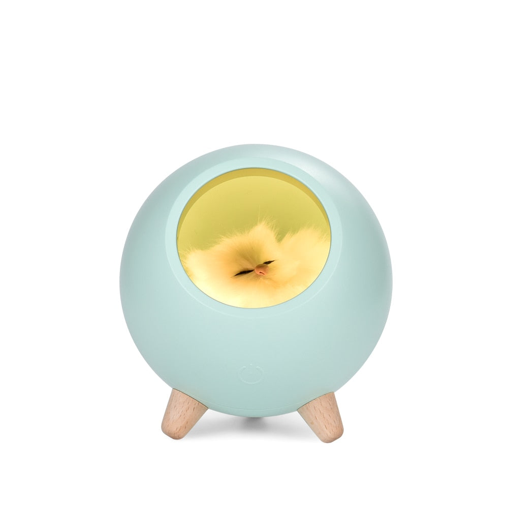 Sleeping Cat Night Light