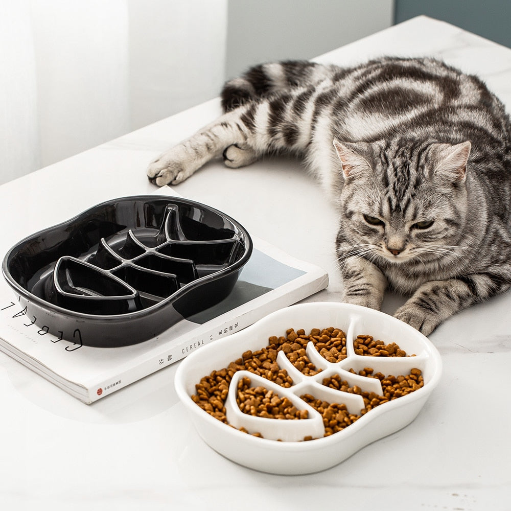 Slow Feeder Cat Bowl