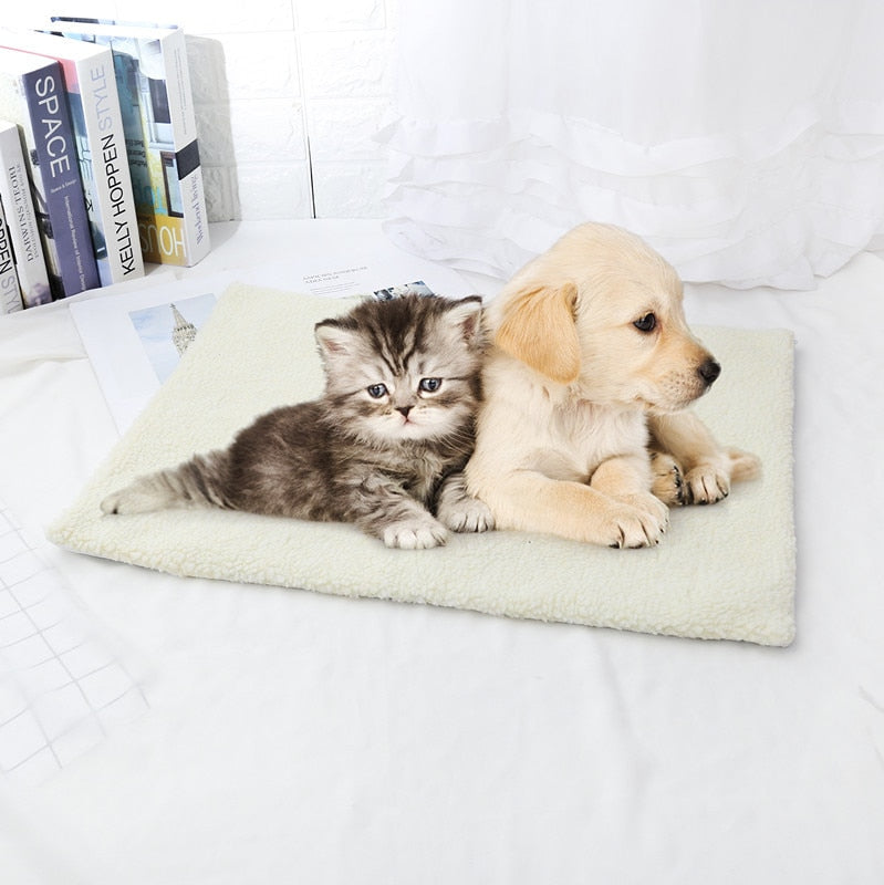 Small cat Blanket