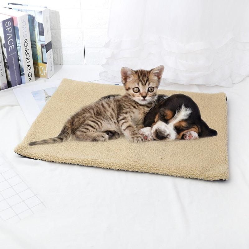 Small cat Blanket