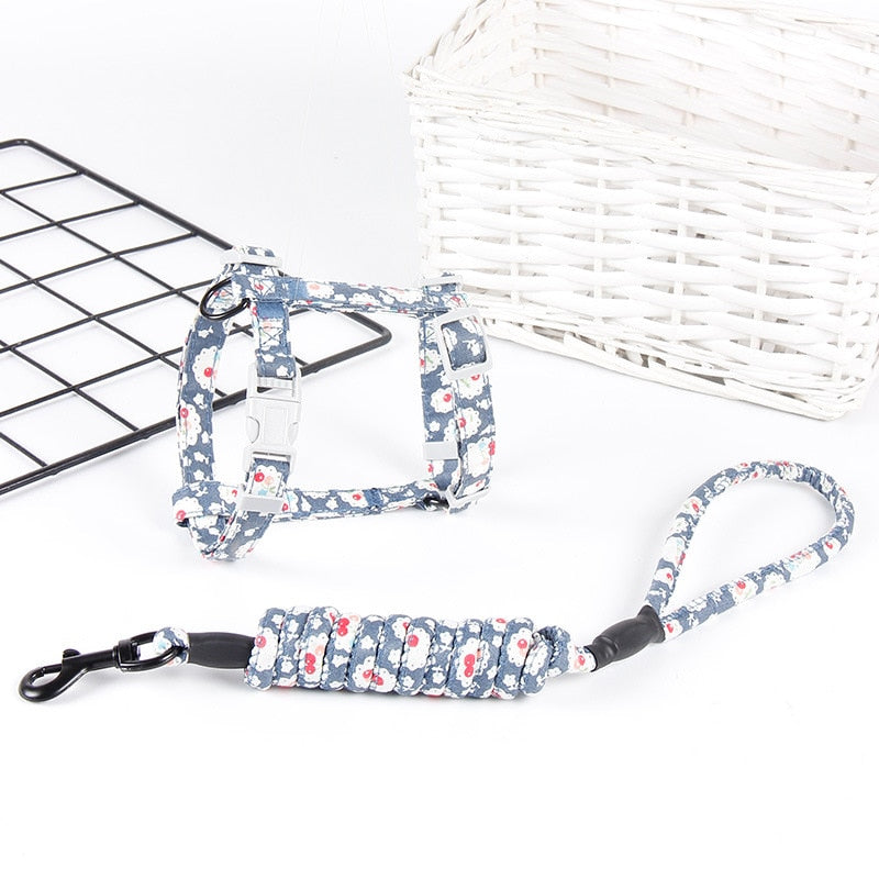 Small Cat Harness