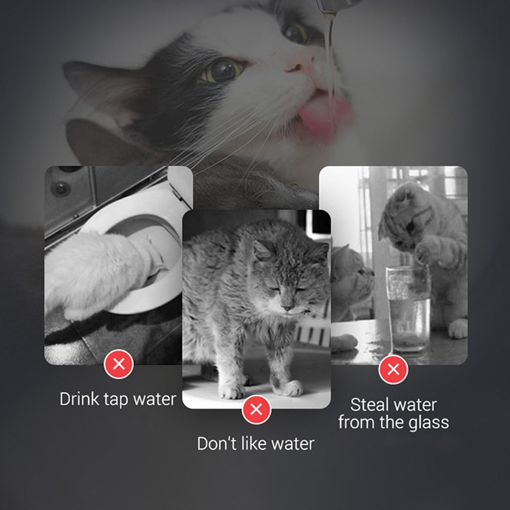 Small Cat Water Fountain