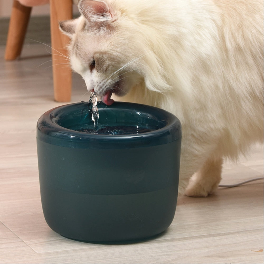 Small Cat Water Fountain