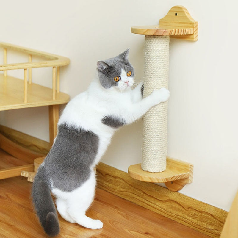 Smart Cat Scratching Post