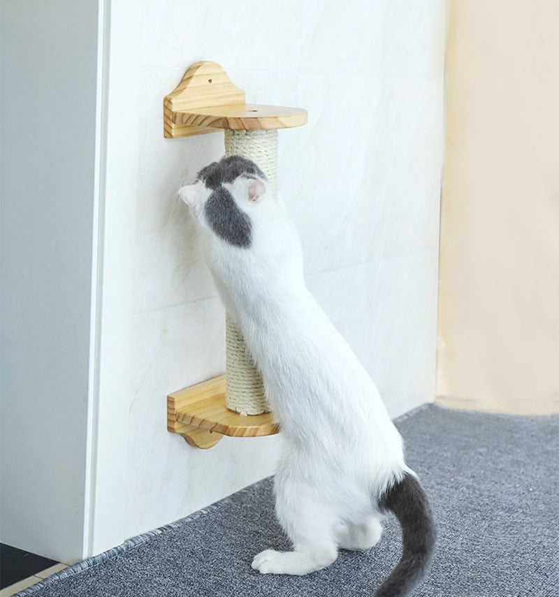Smart Cat Scratching Post