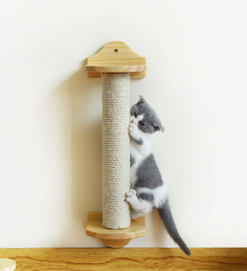 Smart Cat Scratching Post