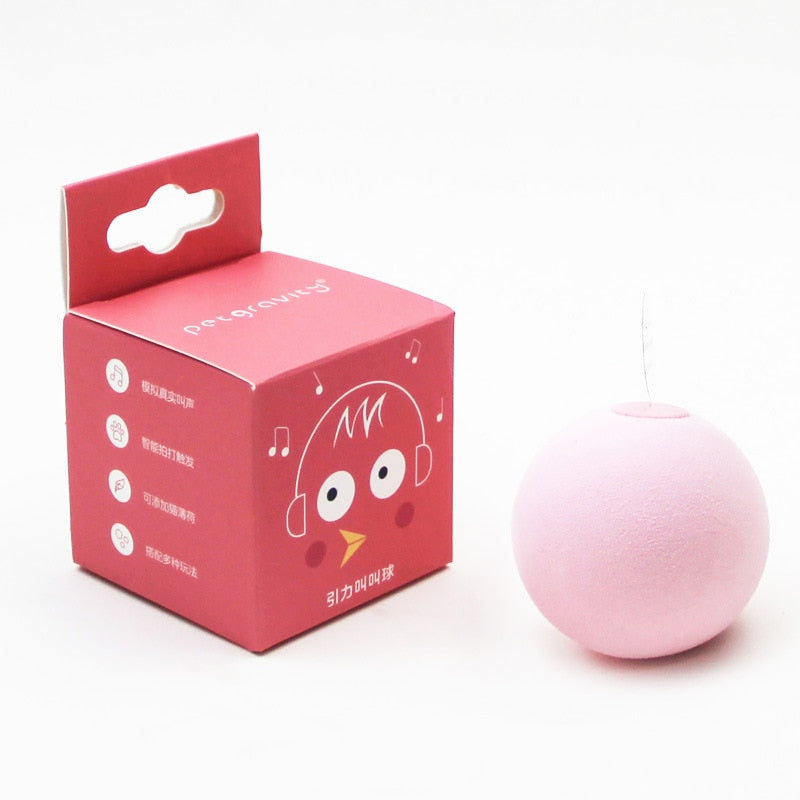 Smart Cat Toy