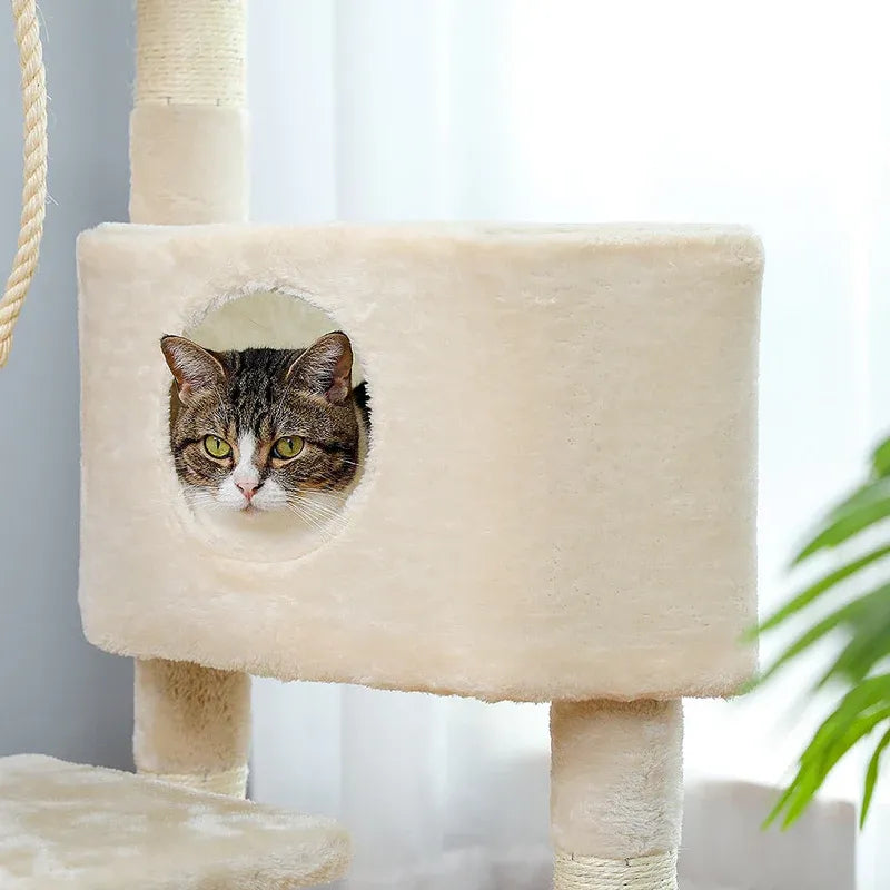 Gatto che osserva dalla casetta rotonda dell’albero SnowTower bianco