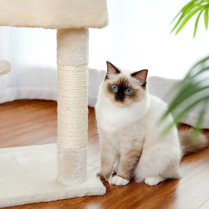 Cucciolo di gatto accanto all’albero per gatti SnowTower bianco elegante