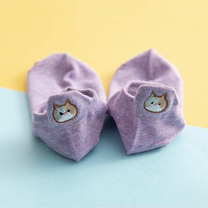 Socks cat