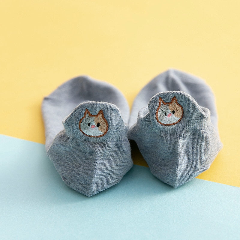 Socks cat
