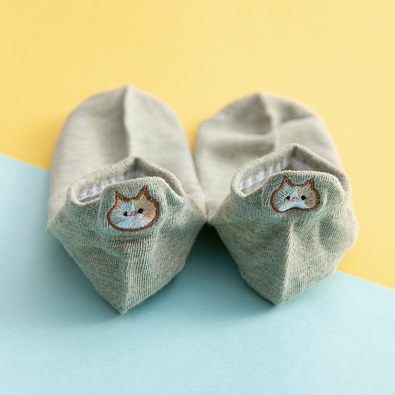 Socks cat
