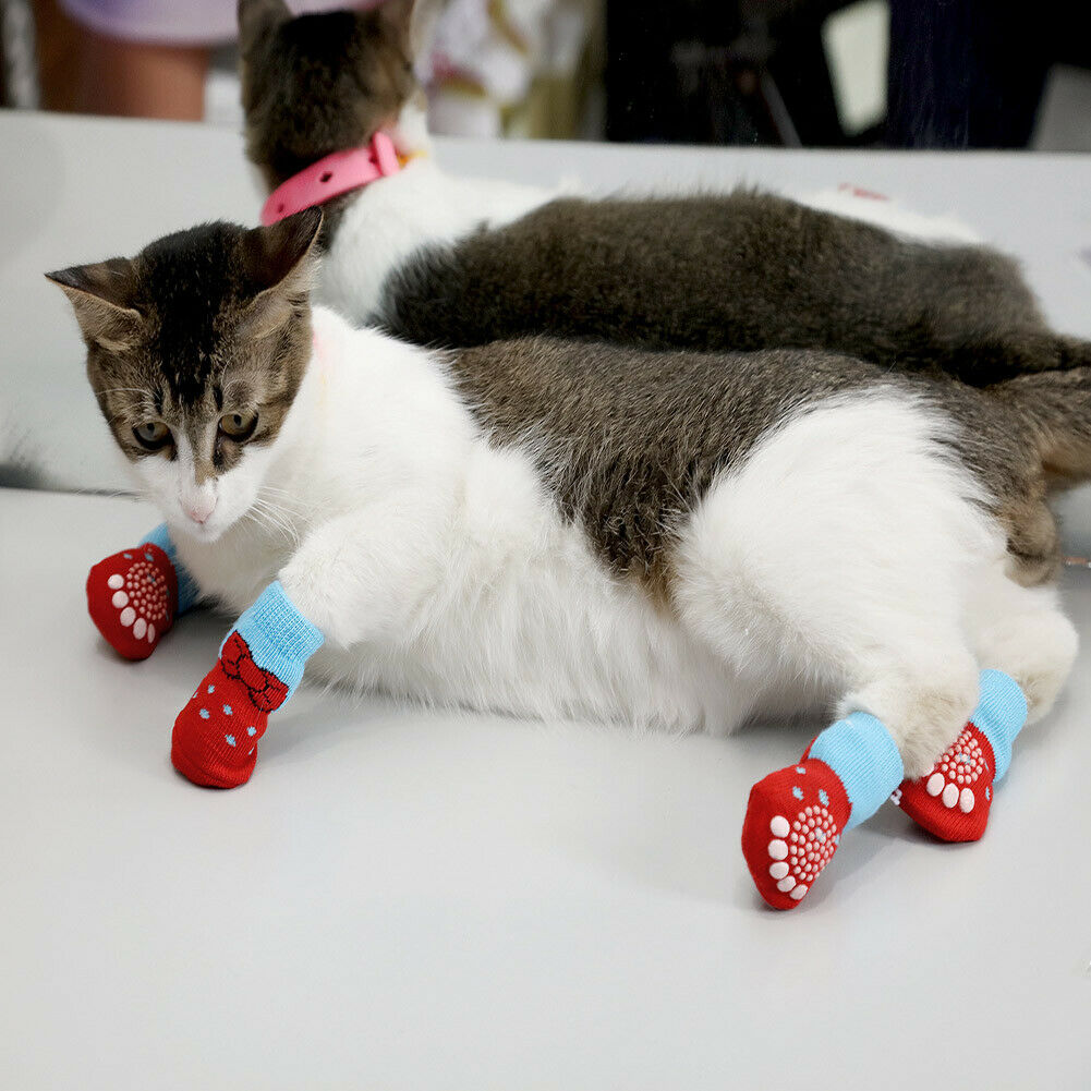 Socks for Cats Paws