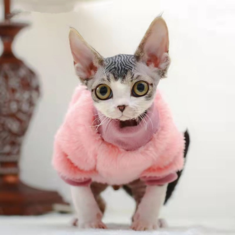 Soft Clothes for Cats