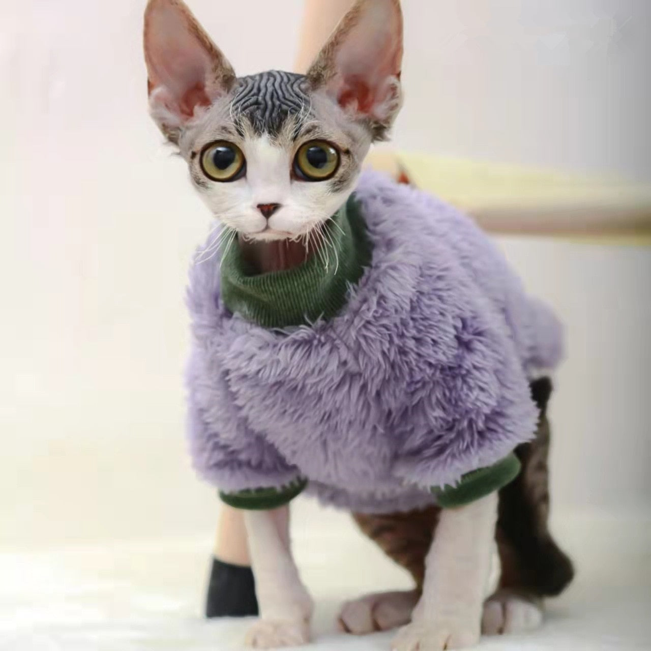 Soft Clothes for Cats