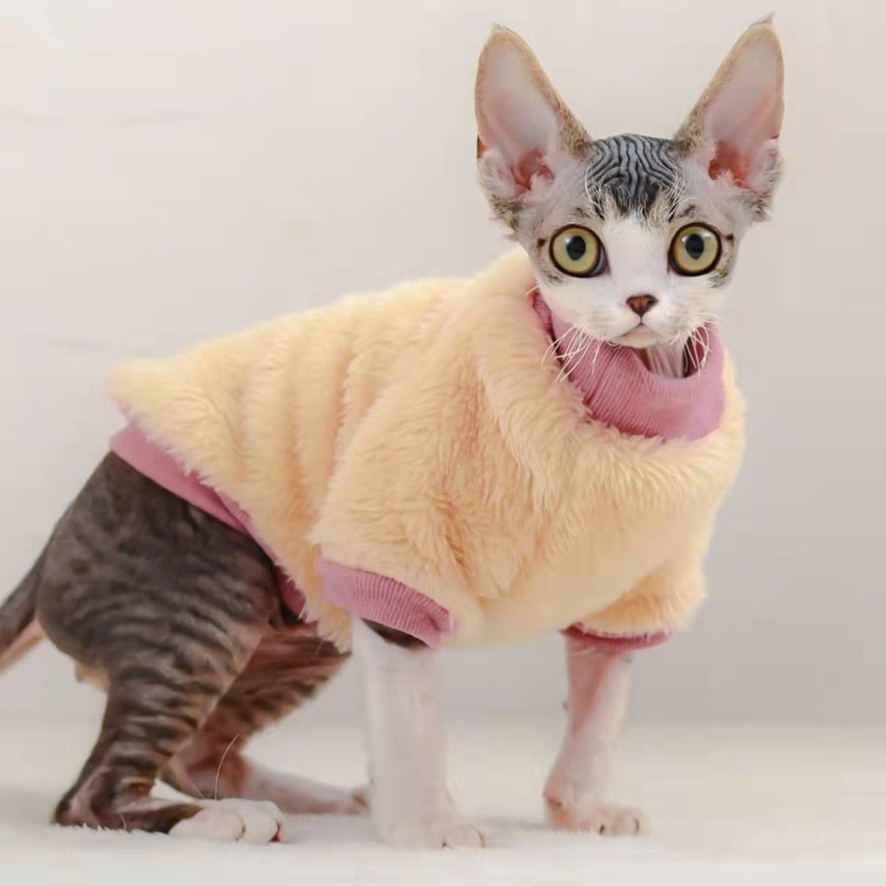Soft Clothes for Cats
